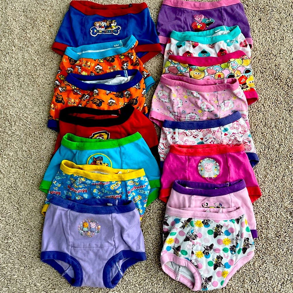 Lot of 15 Toddler Training Pants size 3T and 4T Minnie Mouse Paw Patrol Peppa